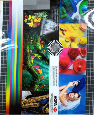 Ein guter Preis. Länge 200-4000m PET EVA Verpackungsfilm 22 miu Matte/Glanzhelligkeit für eine überlegene Verpackungsleistung Online